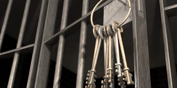 Those Released Committing New Crimes