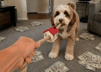 The Property Tax: Expensive and Outdated