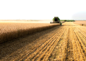 Combine during the wheat harvest.