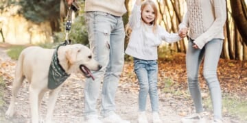 American Experiment releases affordability agenda