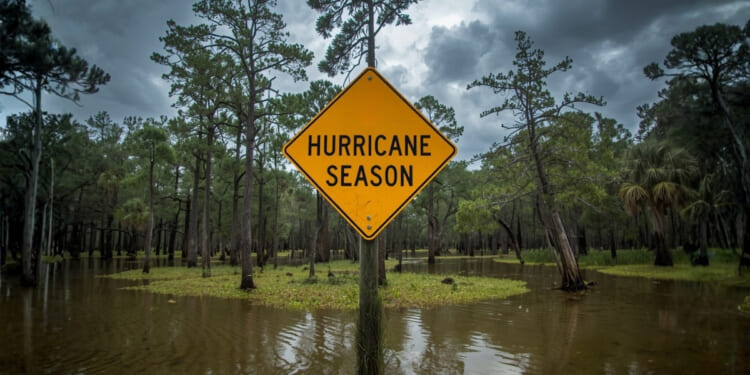 Artificial Intelligence Takes Hurricane Season by Storm
