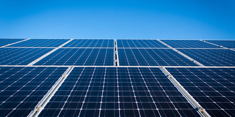 Environmentalists Vs. Renewable Energy - Pacific Research Institute