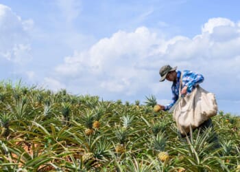 Legislature approves bills that could help boost local food production