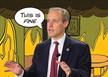 The TRUTH About Minnesota’s Election “SECURITY”