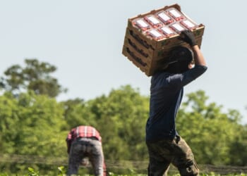 Farm Workers 1
