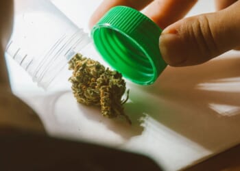 Middle and high schoolers will now learn about cannabis use this fall