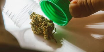 Middle and high schoolers will now learn about cannabis use this fall