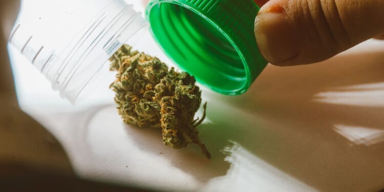 Middle and high schoolers will now learn about cannabis use this fall