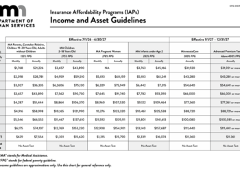 Why are we paying for middle-class Medicaid and how much goes to fraud?