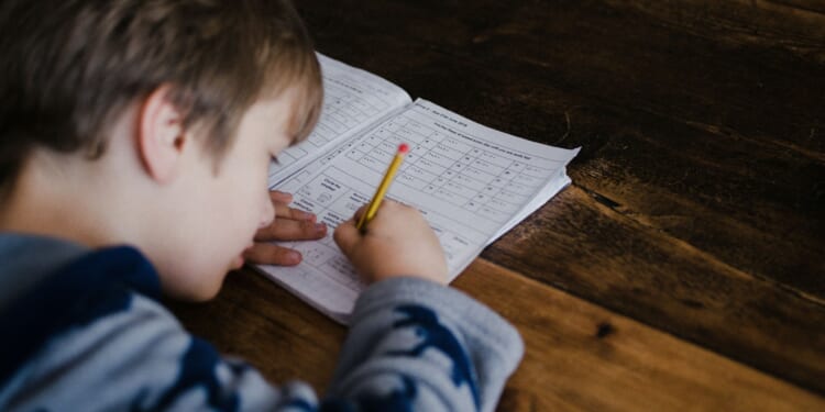 Zero students can do math at grade level at these 12 Minnesota schools