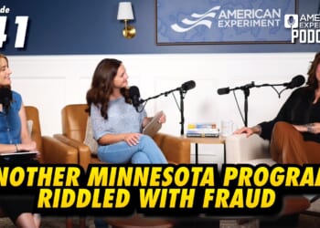 Another Minnesota Program RIDDLED with FRAUD