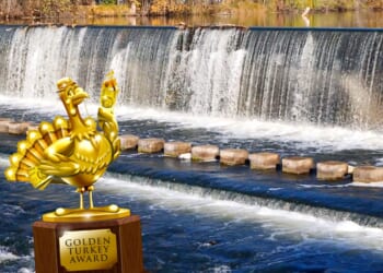 Bummer, dude! Judge kills funding for Golden Turkey surfing project