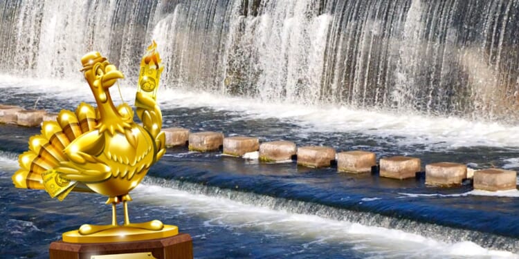 Bummer, dude! Judge kills funding for Golden Turkey surfing project