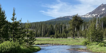 Environment StockSnap ONGJQ9QN0R