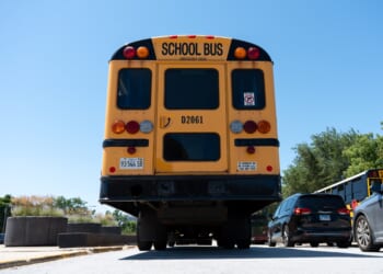 How are Illinois' public schools performing?