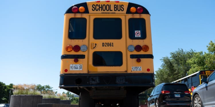 How are Illinois' public schools performing?