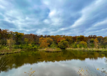 A cove at Shawnee Lake, showing water go through. Water markets is an important issue in Kansas.