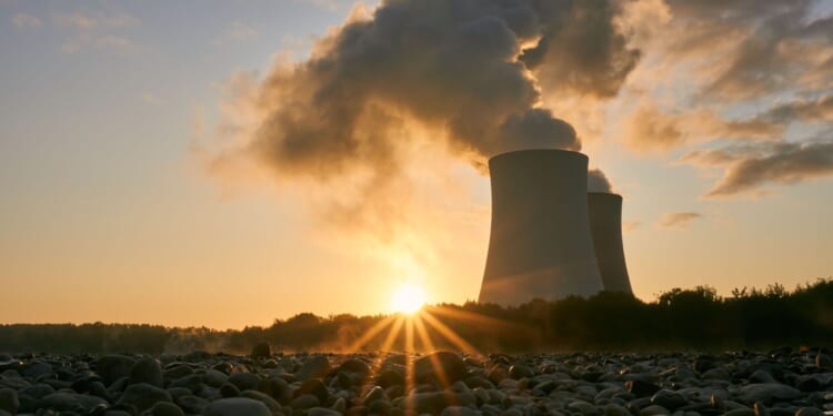 Nuke the Mandate, Free the Nukes! Have your say by September 14