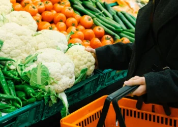 SNAP Reform Poised to Wreak Havoc on State Budgets Due to High Error Rates