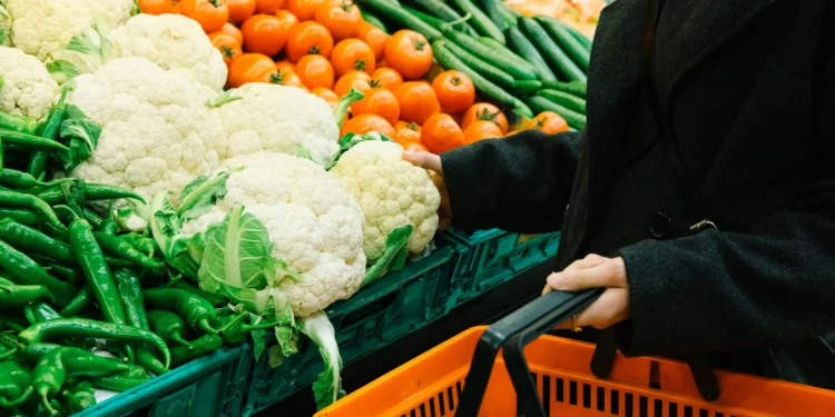 SNAP Reform Poised to Wreak Havoc on State Budgets Due to High Error Rates