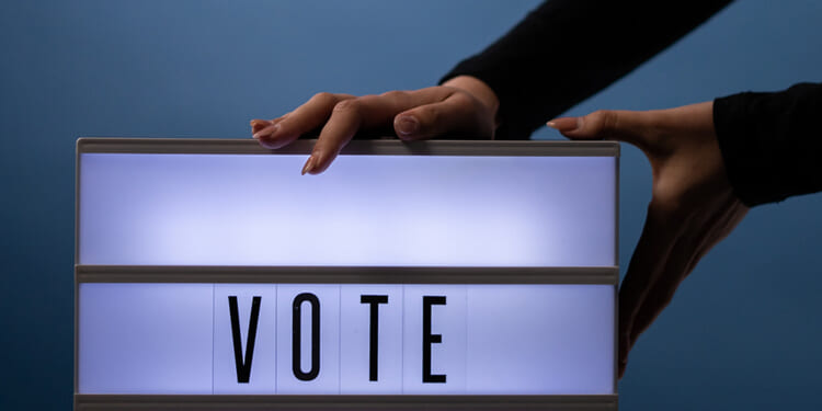 studio 4669141 election