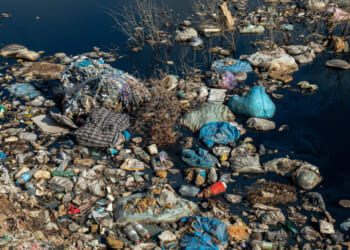 trash recycling