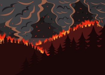 Who should be liable when utility equipment sparks wildfires?