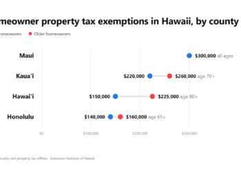 How to file for Hawaii property tax relief in 2026
