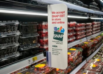 Taking SNAP at Its Word
