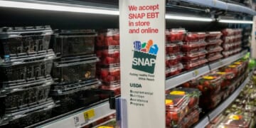 Taking SNAP at Its Word